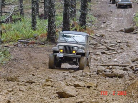 1995 Jeep Wrangler “Black Dragon”