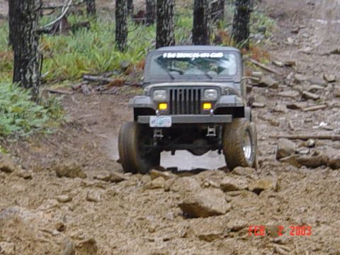 1995 Jeep Wrangler “Black Dragon”
