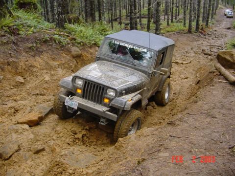 1995 Jeep Wrangler “Black Dragon”