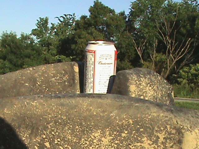 Budweiser can sitting on large rocks with trees in the background