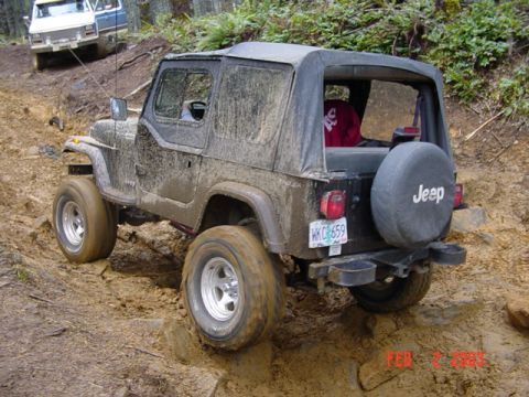 1995 Jeep Wrangler “Black Dragon”