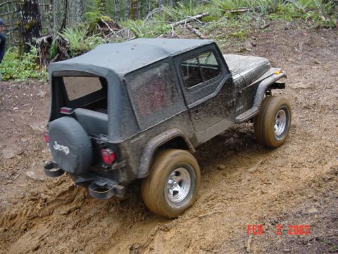 1995 Jeep Wrangler “Black Dragon”