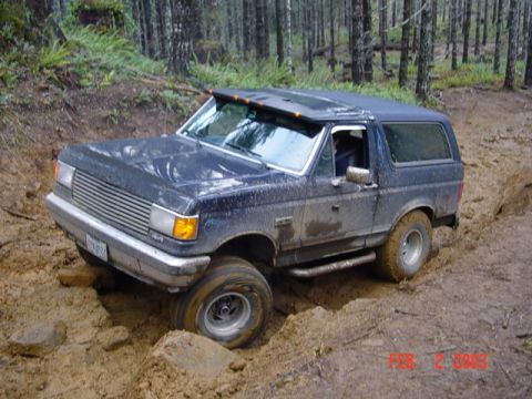 1995 Jeep Wrangler “Black Dragon”