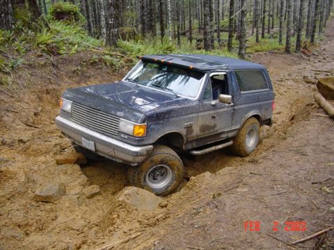 1995 Jeep Wrangler “Black Dragon”