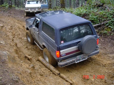 1995 Jeep Wrangler “Black Dragon”