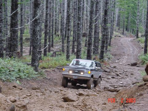 1995 Jeep Wrangler “Black Dragon”