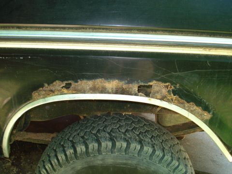1989 Ford Bronco - truck cancer