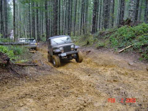 1995 Jeep Wrangler “Black Dragon”