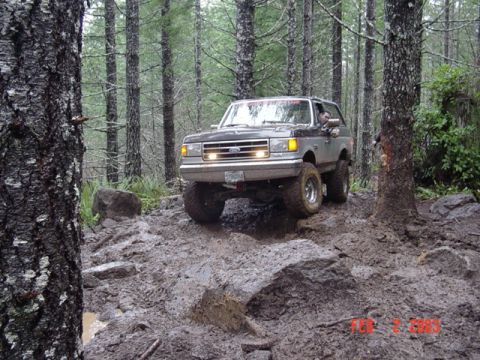 1995 Jeep Wrangler “Black Dragon”