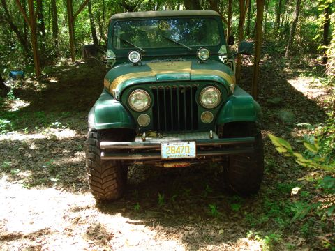 1989 Ford Bronco - A green Jeep CJ-7 with gold racing stripes is parked under a wooden canopy in a wooded area. The front of the vehicle is visible, including…