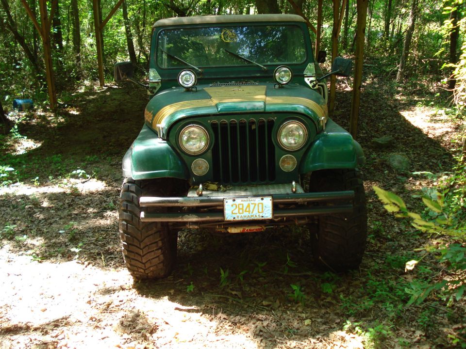 Green Jeep CJ-7 with gold stripes parked in a wooded area.