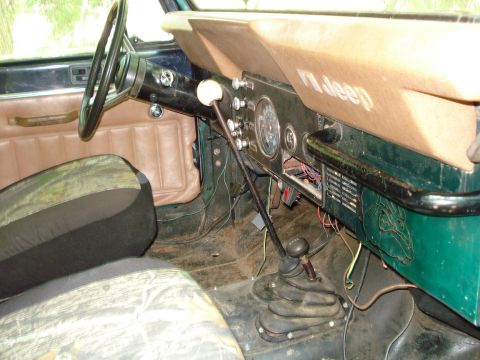 1989 Ford Bronco - kind of a work in progress