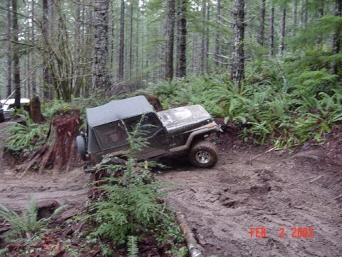 1995 Jeep Wrangler “Black Dragon”