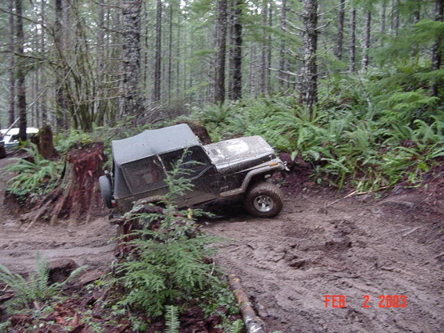 Jeep avioding a big stump (3 pics)