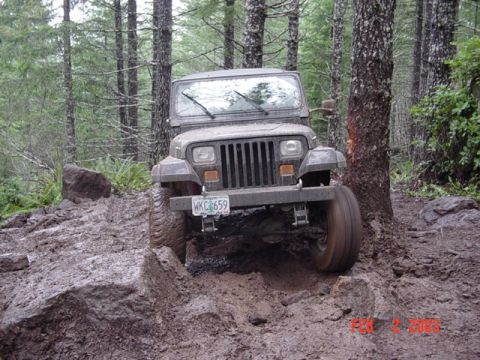 1995 Jeep Wrangler “Black Dragon”