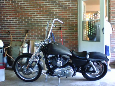 2006 Harley-Davidson Sportster Custom “Sin D Sue”