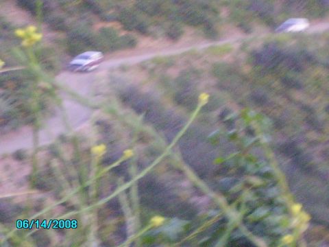 1990 Ford Bronco - A date stamp shows this photo was taken on 06/14/2008.
