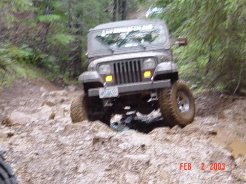1995 Jeep Wrangler “Black Dragon”