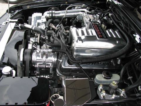 2003 Mercury Marauder - Engine bay features a polished Cobra 5.0 liter intake manifold and supercharger components.