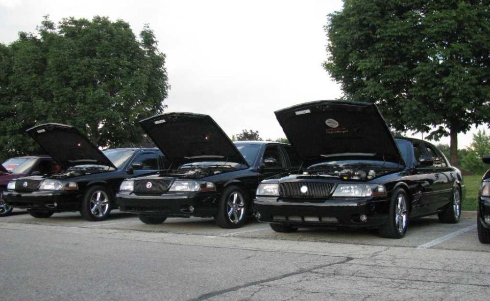 From L to R, Mongoose, Jinxed, & my Marauder.