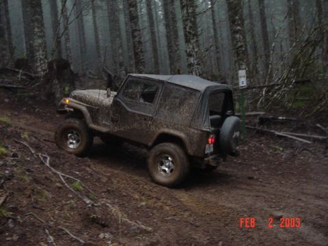 1995 Jeep Wrangler “Black Dragon”