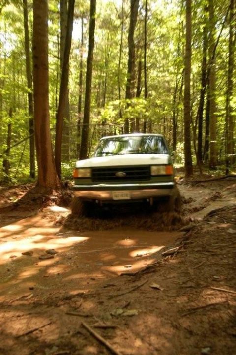1987 Ford Bronco - This 1987 Ford Bronco navigates a challenging muddy path within a dense woodland area.