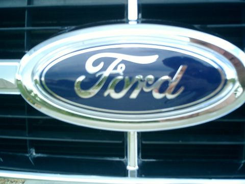 2008 Ford Escape - Close-up of a Ford emblem on a vehicle's front grille.