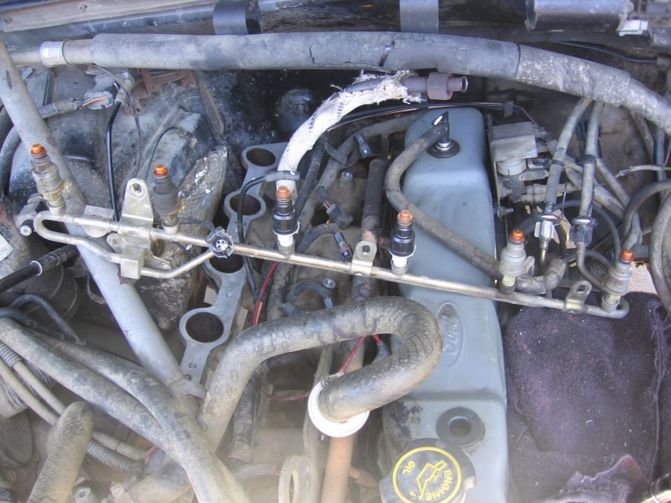 Engine bay with fuel injectors and hoses, showing a gray Ford-branded valve cover