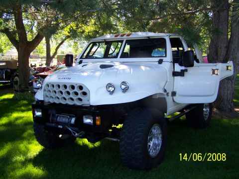 1972 Ford Ranchero - A white custom truck is parked on grass under trees, with its driver's door open.