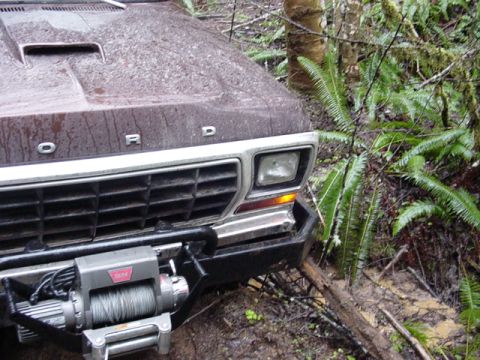 1995 Jeep Wrangler “Black Dragon”