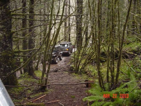 1995 Jeep Wrangler “Black Dragon”