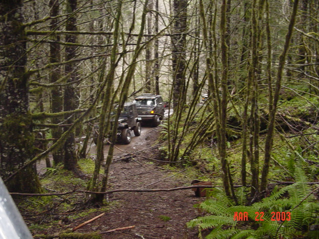 Through the woods (love these types of pictures)