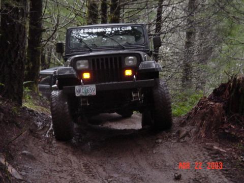 1995 Jeep Wrangler “Black Dragon”