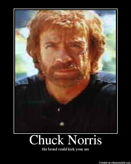2000 Mercury Grand Marquis - A meme Chuck Norris with the caption 'Chuck Norris. His beard could kick your ass.'