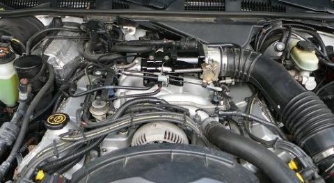 1997 Mercury Grand Marquis - The engine bay of a 1997 Mercury Grand Marquis shows a V8 engine with various hoses and wiring harnesses.