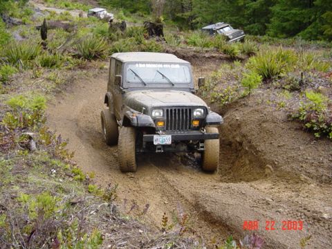 1995 Jeep Wrangler “Black Dragon”