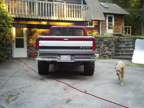 1994 Ford F-150 - Rear view of a red 1994 Ford F-150 pickup truck with a dog walking past.