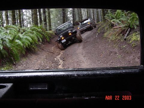 1995 Jeep Wrangler “Black Dragon”