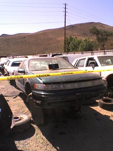 1995 Mercury Sable - OMG, so sad. She's at Pick N Pull now. :(