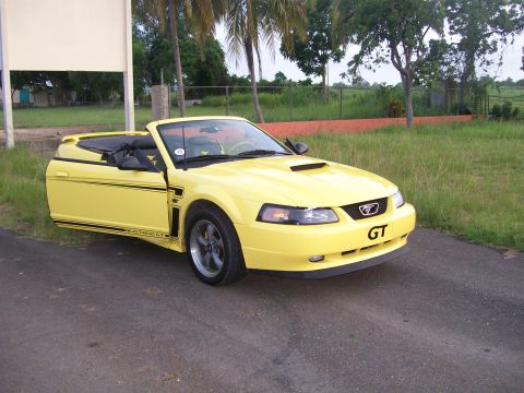 2001 Ford Mustang - A yellow 2001 Ford Mustang GT convertible with the driver's door open is parked on an asphalt road next to a grassy area with trees and a f…
