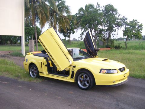 2001 Ford Mustang - A yellow 2001 Ford Mustang convertible with its doors open is parked on an asphalt road. The car has black racing stripes on the hood and d…