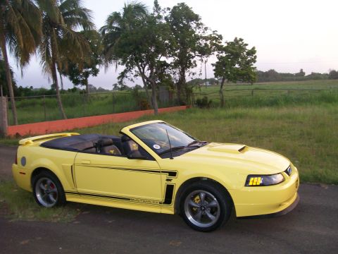 2001 Ford Mustang - A bright yellow 2001 Ford Mustang convertible with black racing stripes is parked on a dirt road next to a grassy field with palm trees in…