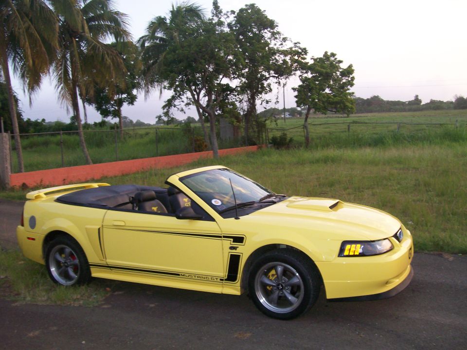 Yellow 2001 Ford Mustang convertible with black racing stripes parked outdoors.