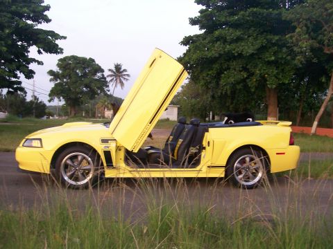 2001 Ford Mustang - A bright yellow convertible Mustang with its doors open is parked on a road with tall grass in the foreground and trees in the background.