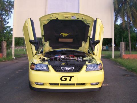 2001 Ford Mustang photo