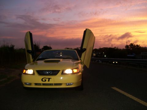 2001 Ford Mustang photo