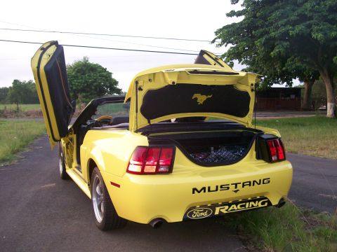 2001 Ford Mustang photo