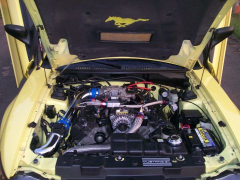 2001 Ford Mustang photo