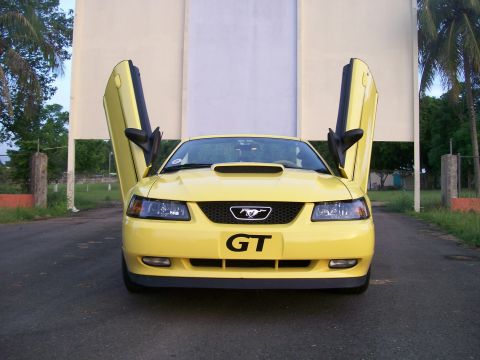 2001 Ford Mustang photo