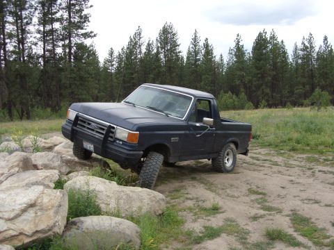 1988 Ford Bronco - Dark blue full-size Ford Bronco with the hardtop removed, easing its front wheels down over a row of large boulders in a grassy pine cleari…